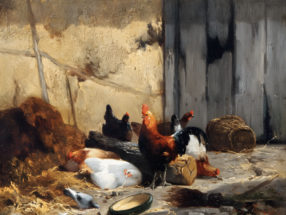 Rooster and Hens